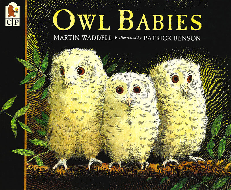 Owl babies