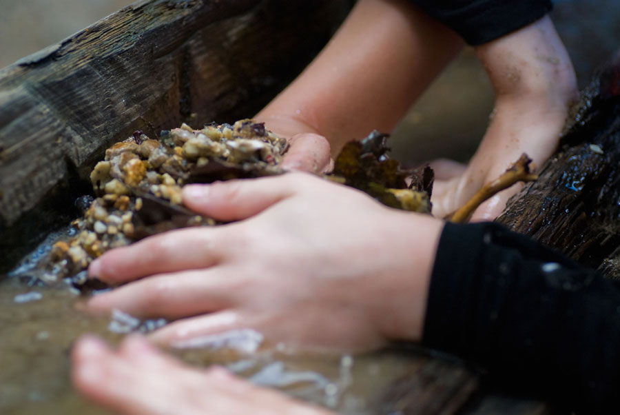 Children playing in a stream.