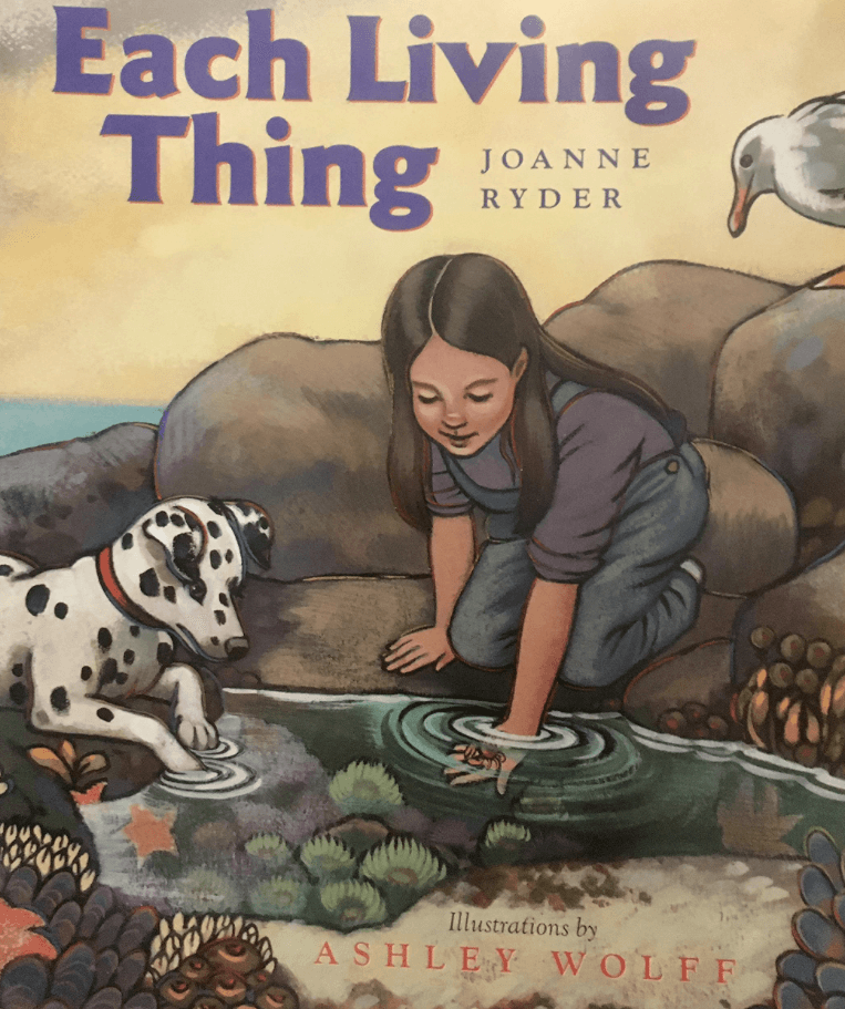 Each Living Thing Book Cover