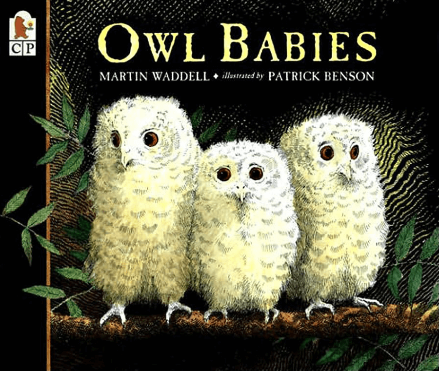 Owl Babies Book Cover