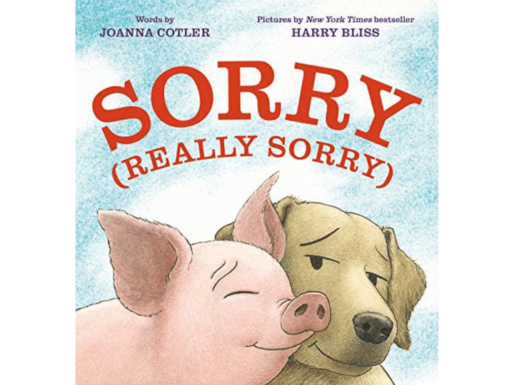 Sorry (Really Sorry) cover.