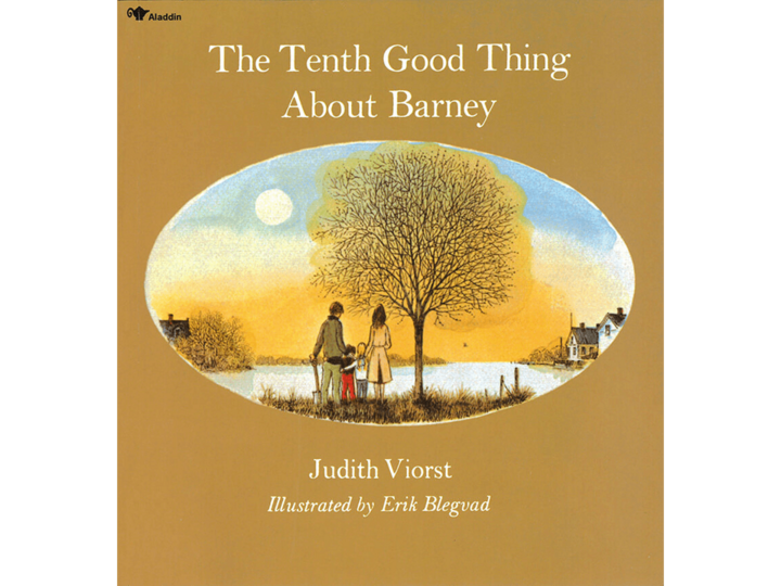 Barney Book Cover