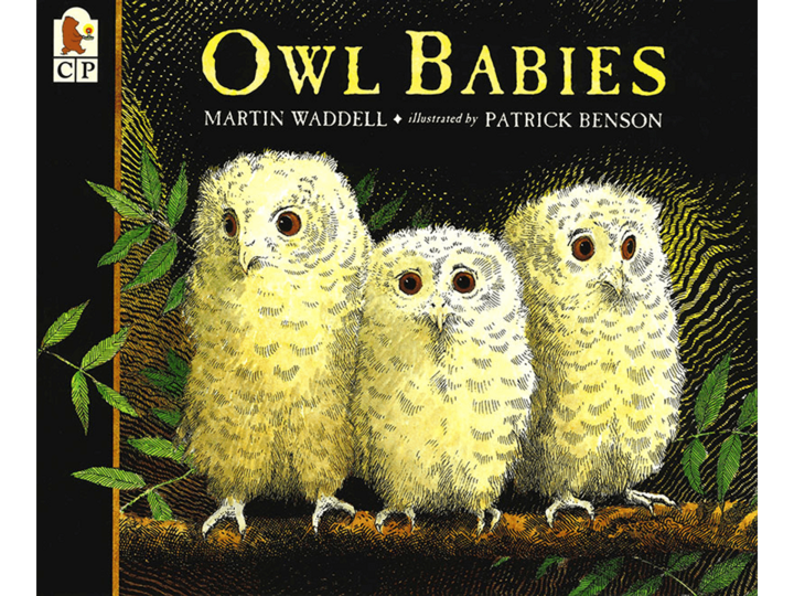 Owl Babies Cover