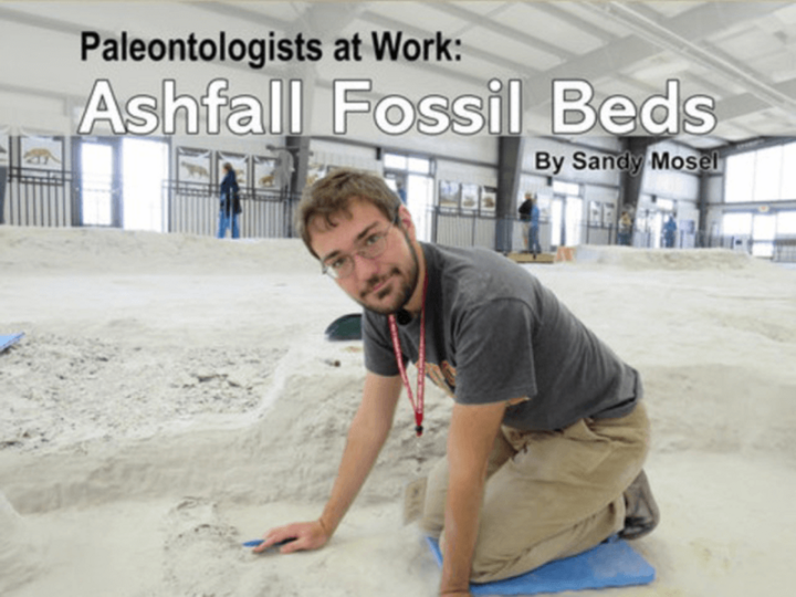Palentologists at Work book cover.