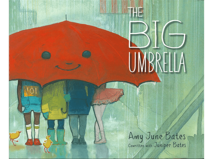 The Big Umbrella Cover